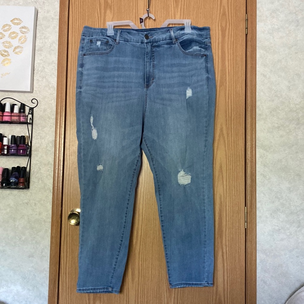 Terra & Sky Stretchy Destroyed Denim Jeans -24W
